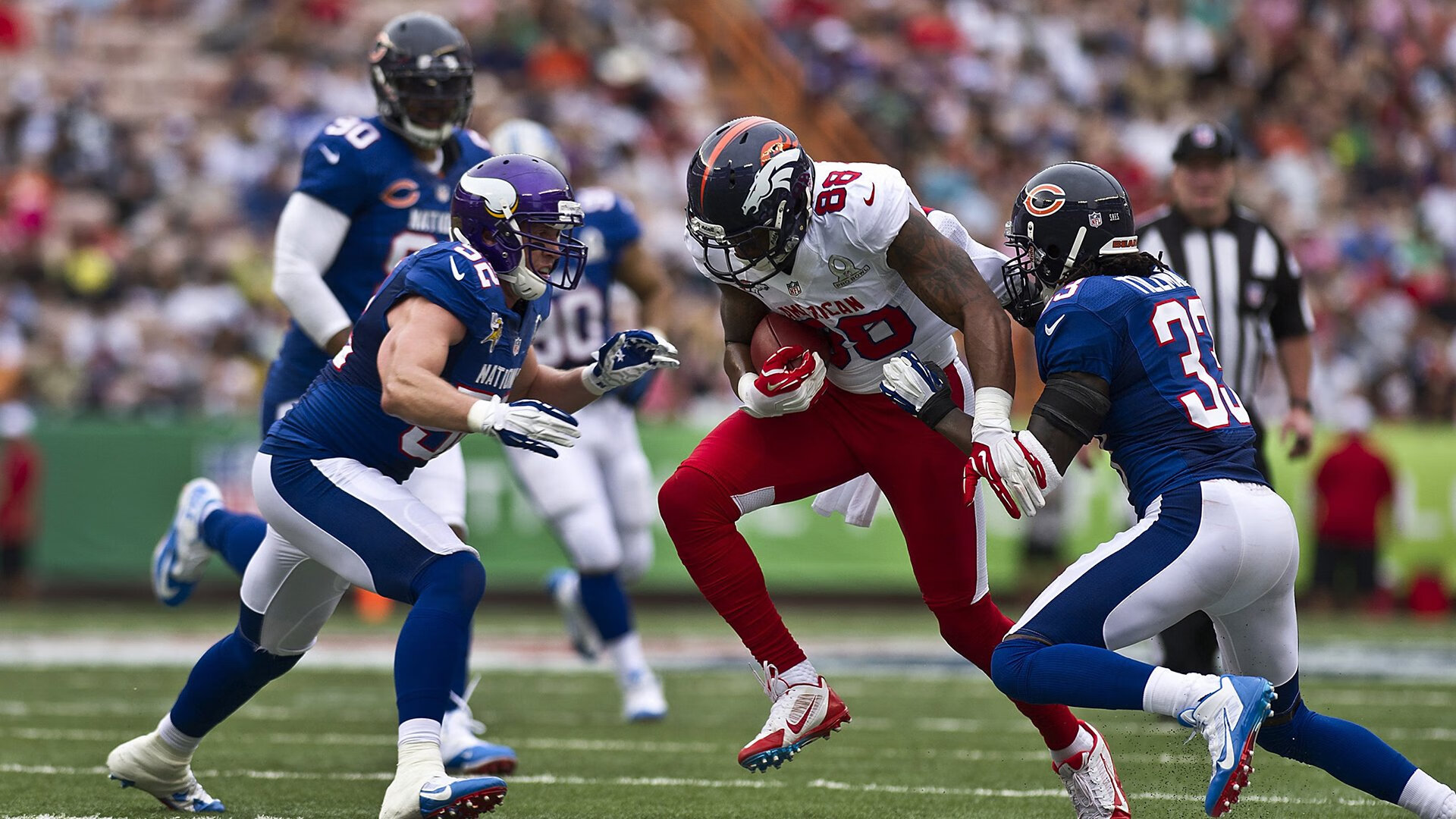 德国马术协会建立马匹基因数据库，促进马匹选育与训练。，德国马术选手痛哭